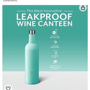 Brumate Wine Canteen Seafoam and Tumbler Succulent